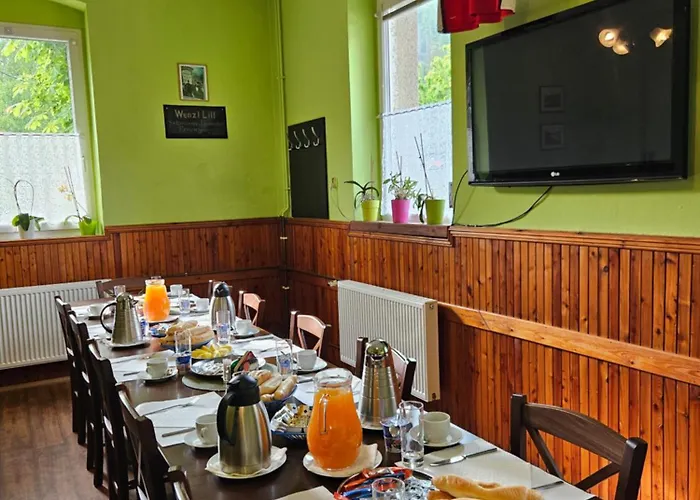 Casa de hóspedes Pod Lesem Merklín